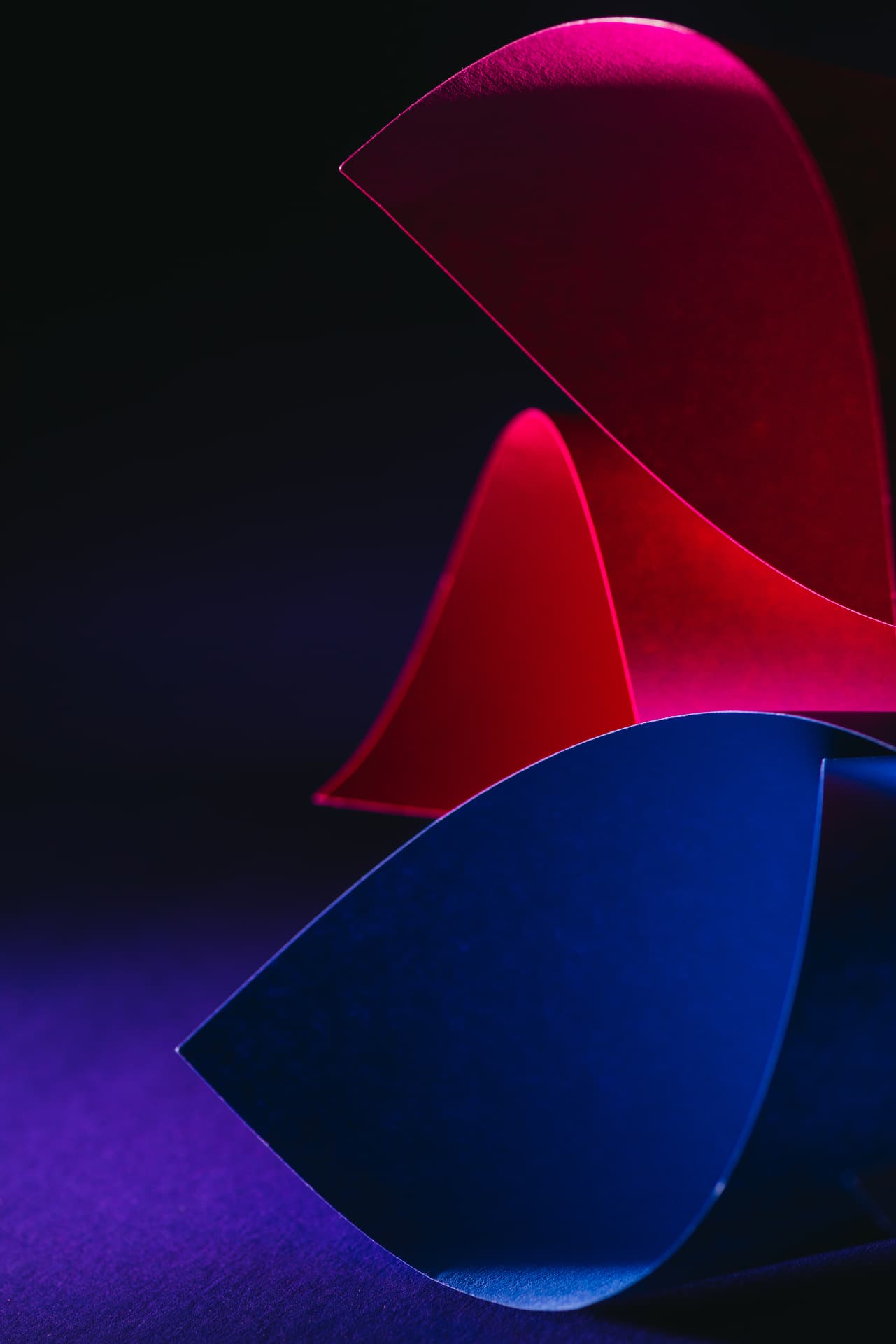 Abstract composition of sculpted, curved paper forms illuminated in vivid magenta and deep blue against a dark background