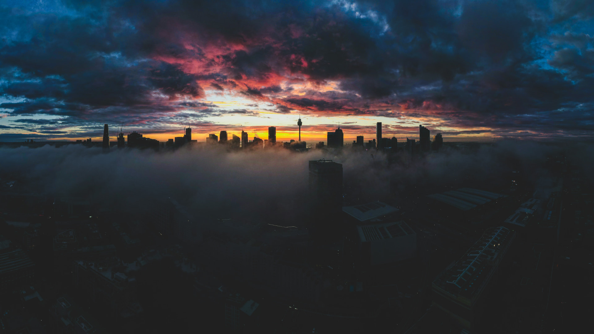 Sydney skyline at dawn above a blanket of fog, golden light on the horizon